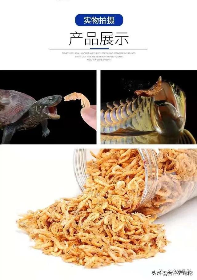 乌龟吃什么东西长得快，乌龟吃什么长得快（“干”类食物，喂龟该怎么选）