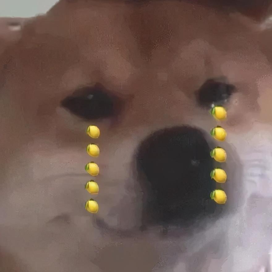 警犬多少钱一只(中国最厉害的警犬)