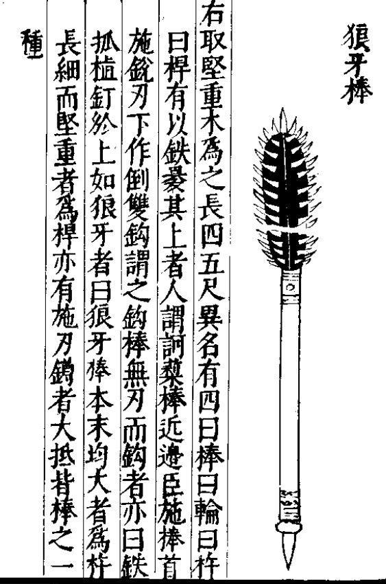 天灵盖是哪里，天灵盖是哪里人的称呼（大家对于狼牙棒这武器到底有多少误解）