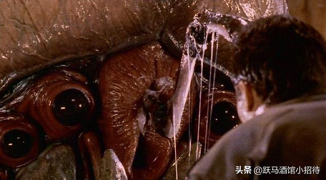 盘点经典科幻片《星河战队》中的阿拉奇尼斯虫族种类