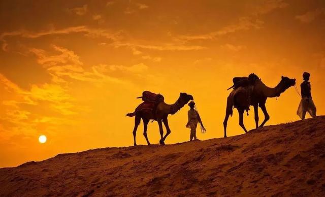 沙漠之舟是什么动物，之称的动物是什么（被称为“沙漠之舟”的骆驼）