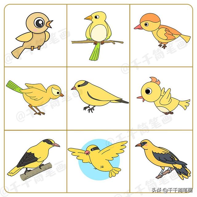 兔子简笔画彩色，兔子彩色简笔画怎么画（200+小动物简笔画大合集）