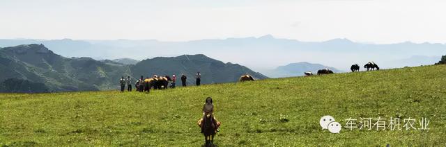 大同灵丘十大景点，灵丘——山水特色城镇