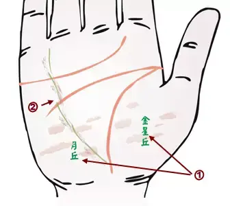 掌纹诊病实用图谱，看看你的掌纹：预示者不同疾病（可以诊断肝癌、糖尿病、高血压、妇科病、脑溢血）