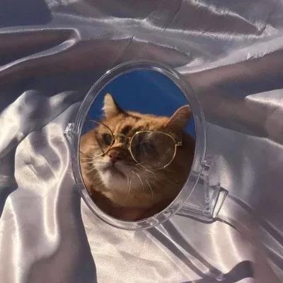 植物大战僵尸头像，植物大战僵尸6人团头微信（在吗？组队换头像啦）