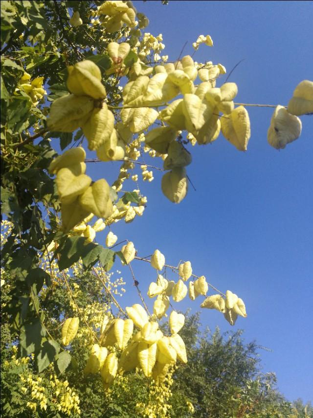 冬天的雪，冬天的雪是什么仿写一段话（散文《冬天的雪》）