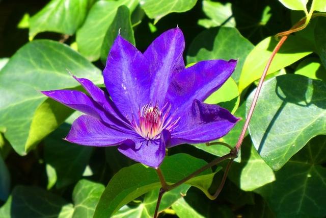 巨蟹女耐看的原因，12星座女孩漂亮吗（人称“第二眼美女”）