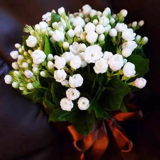 我国国花是什么花，中国国花是什么花（中国国花是什么花）