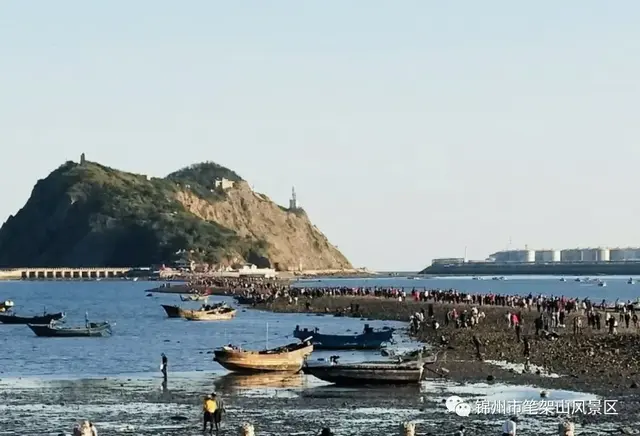 笔架山风景区在哪里，锦州笔架山旅游攻略（锦州笔架山岛的国内地位及世界意义）