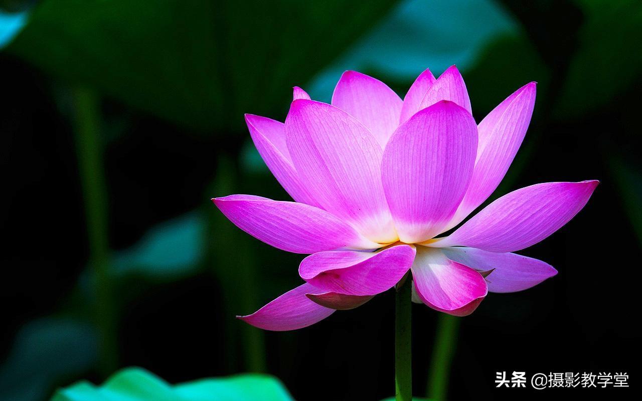 曝光是什么意思(曝光越高越好还是越低)