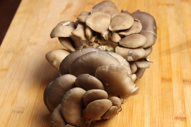 蘑菇怎么油炸好吃，炸蘑菇怎么做（大厨教你正确做法）