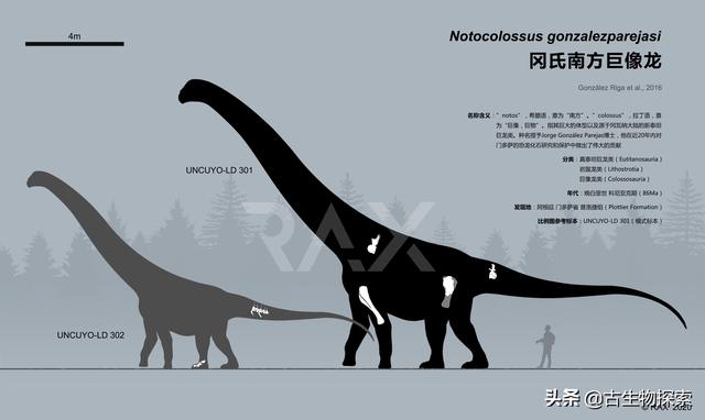 世界上有什么恐龙，世界上有几种恐龙（世界最大恐龙排行榜）