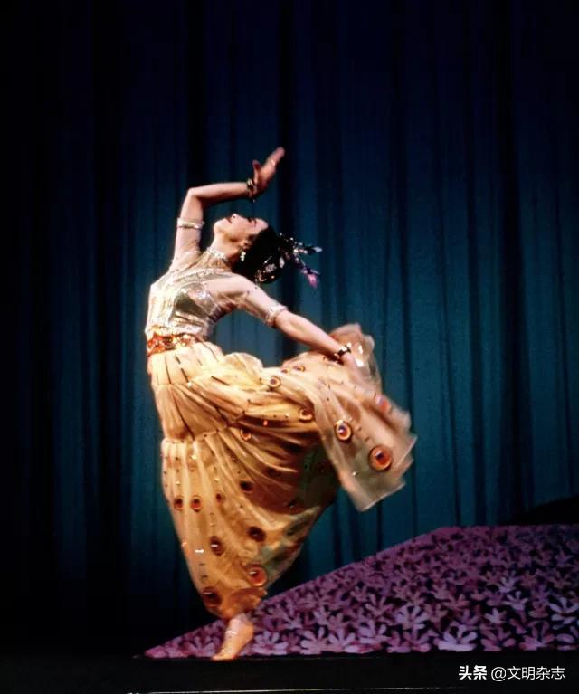 傣族三道弯是指什么,傣族三道弯是指什么动物(孔雀故里傣舞蹁跹) 傣族三道弯是指什么,傣族三道弯是指什么动物(孔雀故里傣舞蹁跹)