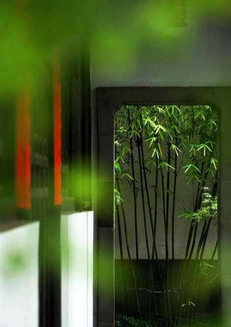 竹的品质及现实生活中代表人物，郑板桥与竹