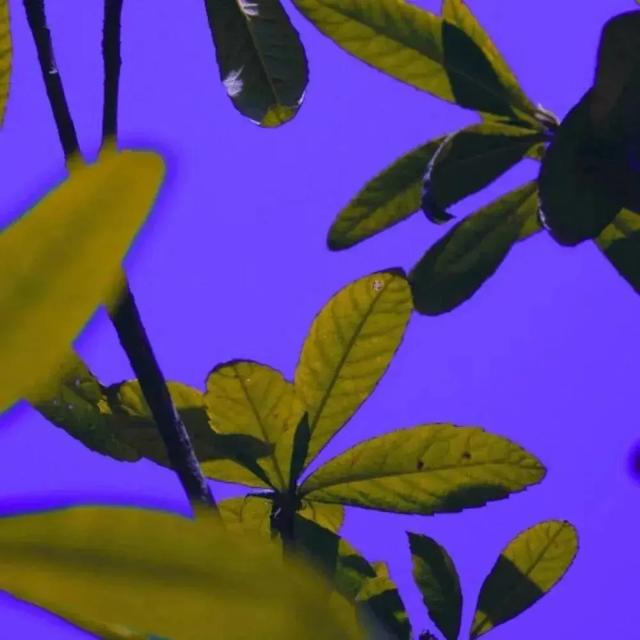 超赞的朋友圈背景图 背景图 月亮和星星会不会互道心事,超赞的朋友圈背景图怎么弄(好看的朋友圈背景图) 超赞的朋友圈背景图 背景图 月亮和星星会不会互道心事,超赞的朋友圈背景图怎么弄(好看的朋友圈背景图)