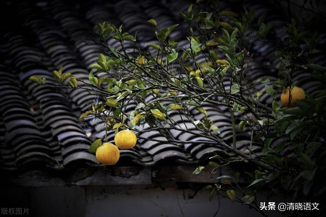 总也倒不了的老屋，总也倒不了的老屋课文（或许我们每个人的心中都有一个老屋）