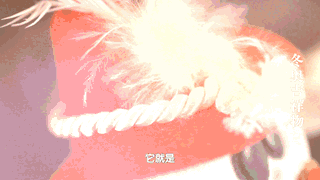 平昌冬奥会吉祥物，2018年韩国平昌冬奥会会徽吉祥物介绍（历届冬奥会吉祥物“全家福”来了）