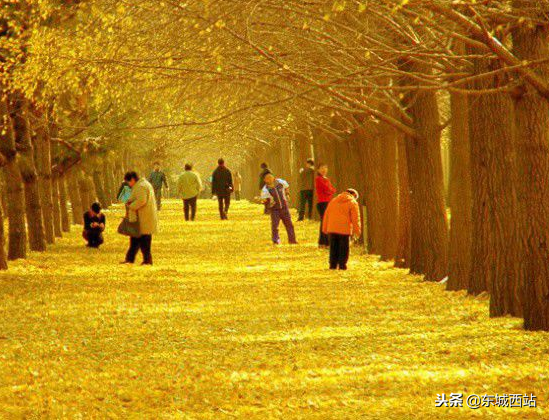 南雄雄州镇有多少人口，中国美丽城市广东省南雄市
