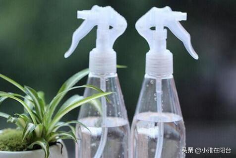 小虫怎么消灭小窍门，小飞虫怎么消灭最简单的方法厨房（花盆里有小虫子）