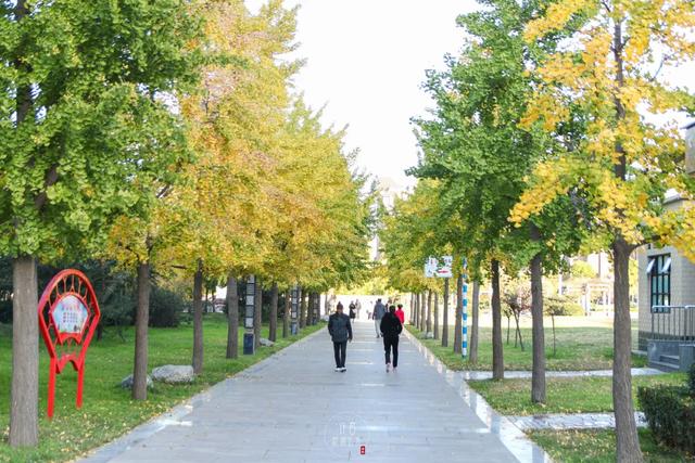许昌旅游景点有哪些,许昌旅游景点有哪些地方(带你感受专属秋天的浪漫景色) 许昌旅游景点有哪些,许昌旅游景点有哪些地方(带你感受专属秋天的浪漫景色)