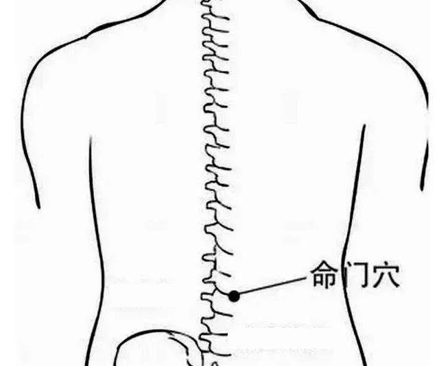 艾条怎么用可以祛湿气，怎样艾灸去湿气（推荐艾灸疗法见效快）
