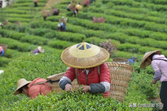 春茶和夏茶有什么不同，春茶、夏茶、秋茶、冬茶有啥区别