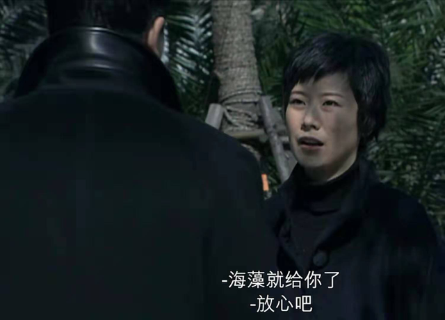 海藻结局是怎样，海藻结局（十年后重温《蜗居》发现）