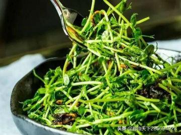 绿豆苗怎么做好吃，怎么做绿豆苗好吃（麦香私房鲍、绿豆苗拌橄榄菜虫草花、婆子妈老腊肉制作）