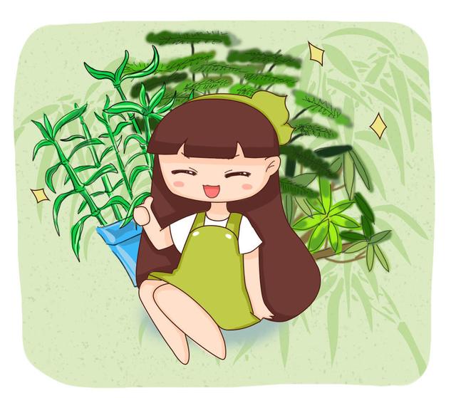 矮竹子品种有哪些有什么优点，矮竹子品种有哪些有什么优点与缺点（养盆竹子做盆景）