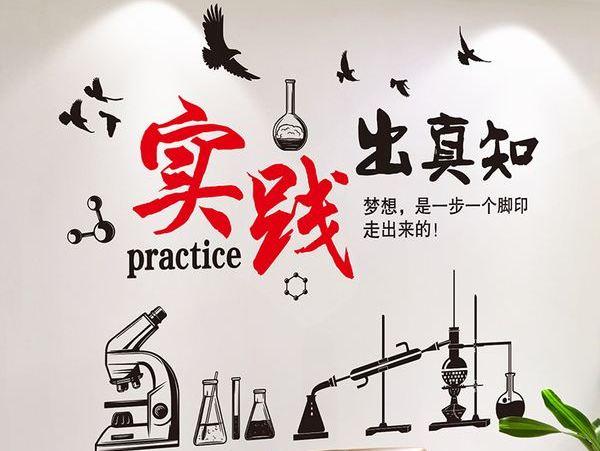 什么是实践，马克思主义基本观点