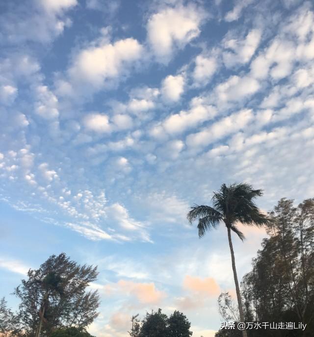 去日本旅游坐船要签证吗，去日本旅游可以坐船去吗（顺带去下印尼民丹岛超划算）