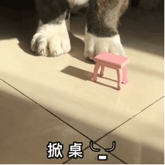 郫县豆瓣酱怎么吃，郫县豆瓣酱挂面怎么做好吃（10月，懂行的都在抓紧吃它）