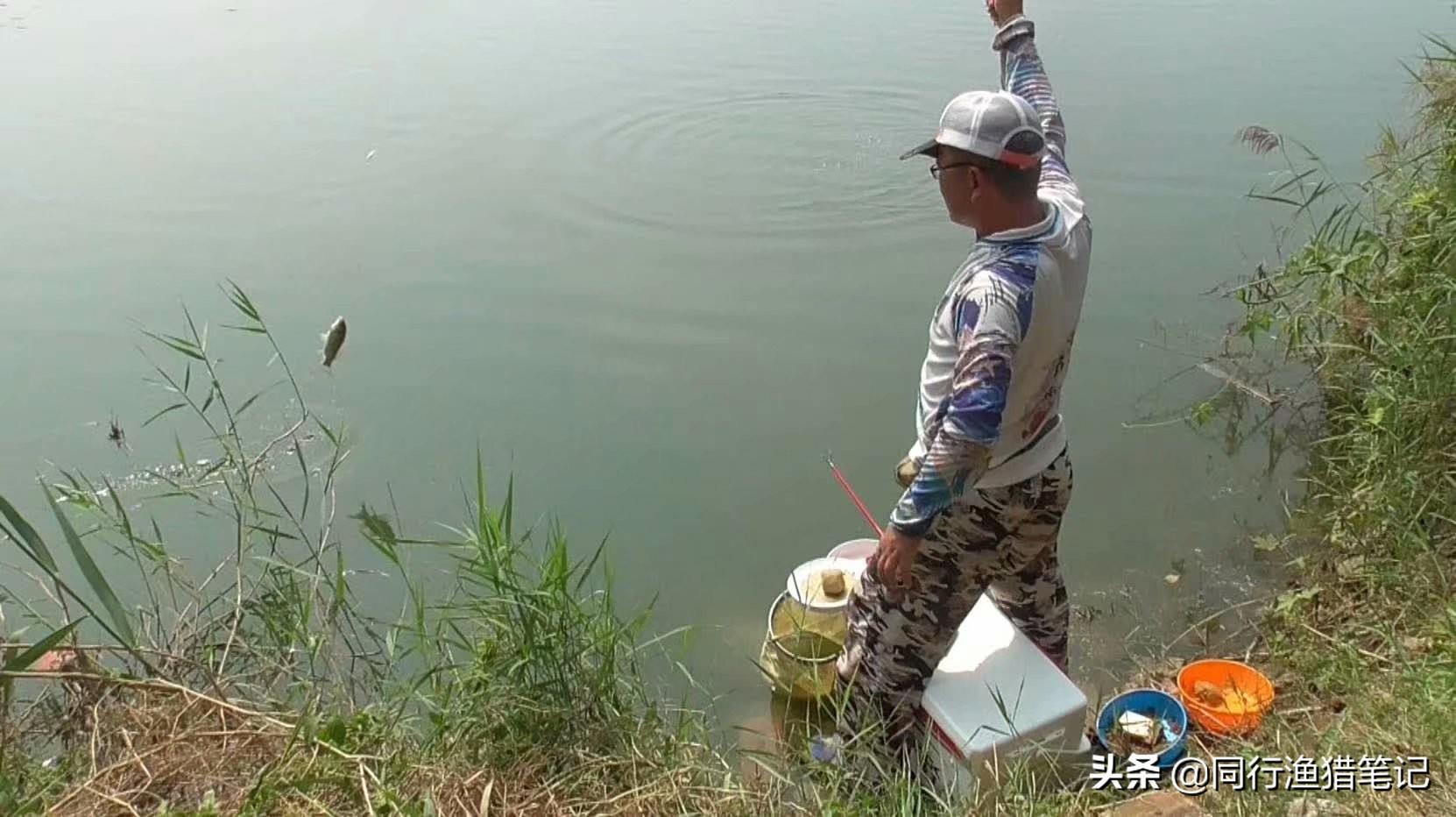 钓鲫鱼最佳线组搭配：几号线配几号钩最适口，提升上鱼率实战推荐