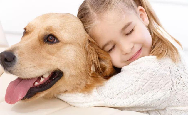 抱狗（普京抱狗），抱狗姿势禁忌：你这样抱狗（普京外交抱狗图片）