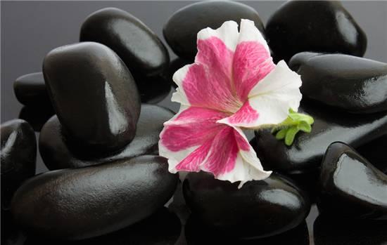 什么的神气，什么的神气填空（老子心法十诀）