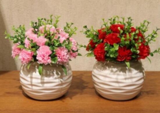 康乃馨怎么养，康乃馨怎么养开花（康乃馨的养殖方法和注意事项）