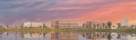 会计学涉外会计方向（专业解读）