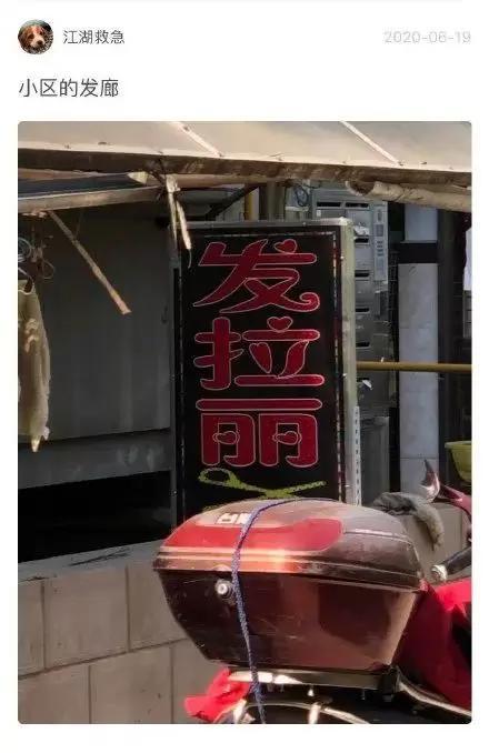 东北话方言句子，东北话十级经典语录（笑的我室友过来捶我）