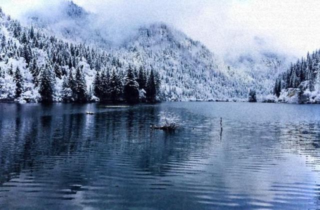 松的诗句，梅的诗句有哪些（待到雪化时—那些关于松与雪的诗词）