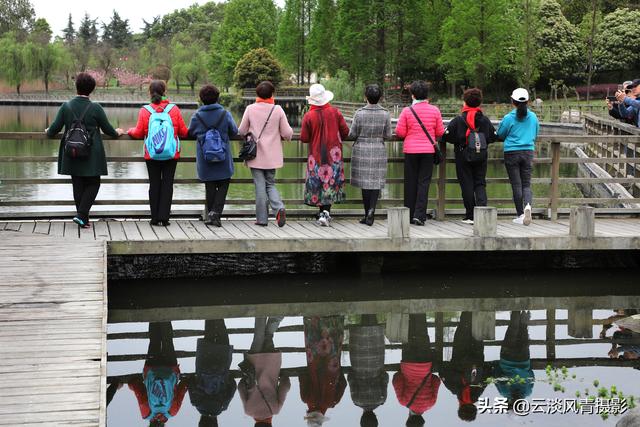 最简单能令人放松心情的图片 偶尔防空一下自己，让人心情放松的图片（醉倒在那片春色里）