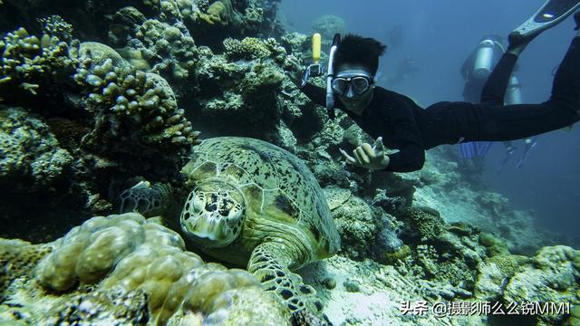 梦幻天堂游戏手机版下载，梦幻天堂经营手游官网最新版下载安装安卓版appv45.0.2（我才明白什么叫做梦幻天堂）