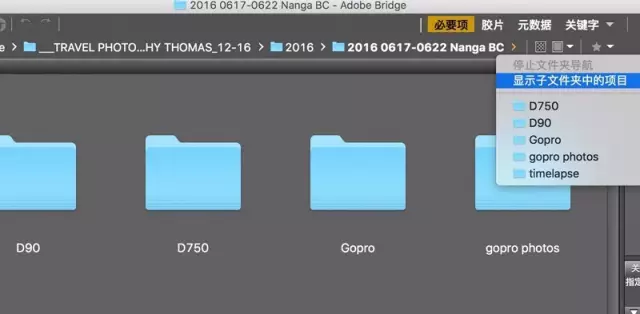 开启bridge功能，bridge什么意思（照片管理、备份的大学问）
