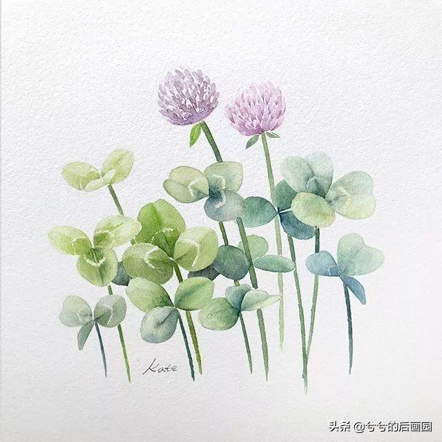 简单的花怎么画，玫瑰花画法（3个简单步骤教你画出一朵小花花）