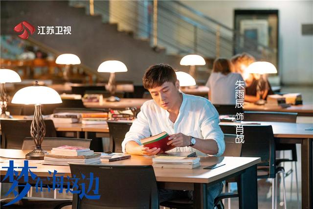 李念主演的电视剧，演员李念照片（《梦在海这边》首播）