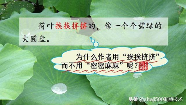 莲蓬的蓬是不是读轻声，莲蓬的蓬为什么读轻声（部编版语文三年级下册第3课《荷花》图文讲解）