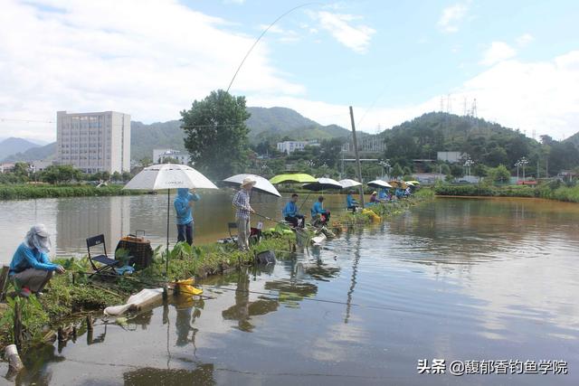钓鱼的技巧和要领，钓鱼必学技巧（钓鱼人必须掌握的四大要点）