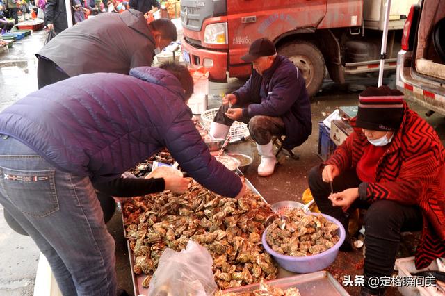 红扇贝为什么便宜，鸳鸯贝和扇贝哪个贵（老板扒壳卖肉馅价格倍增）