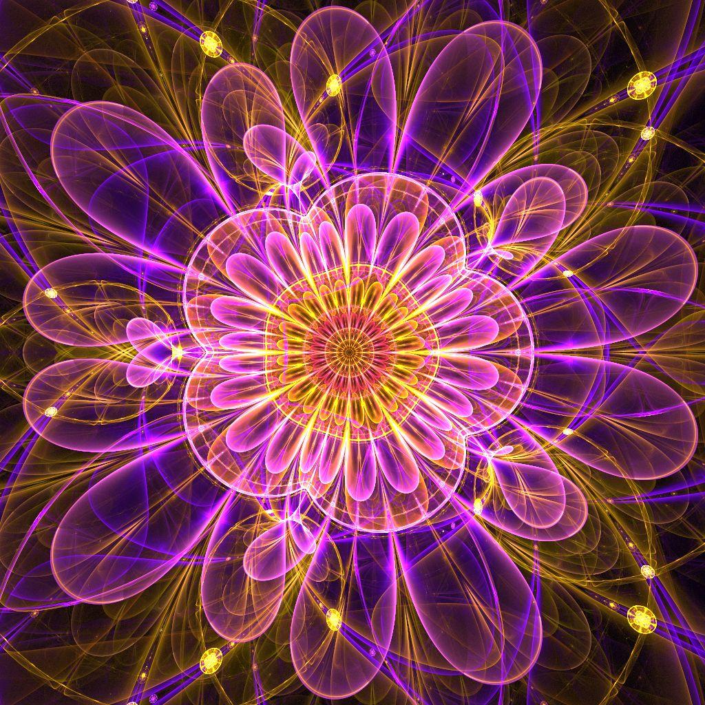 分形艺术照的特点，艺术照分什么风格（分形艺术插图，美！）