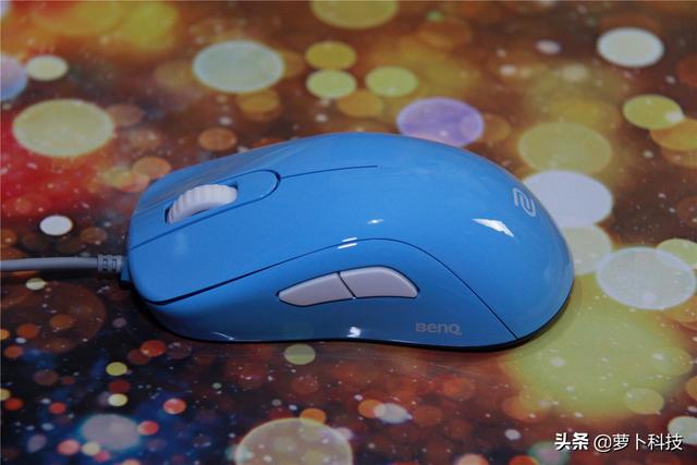 divina跳蚤防治，吡虫啉灭跳蚤（职业FPS选手标配）