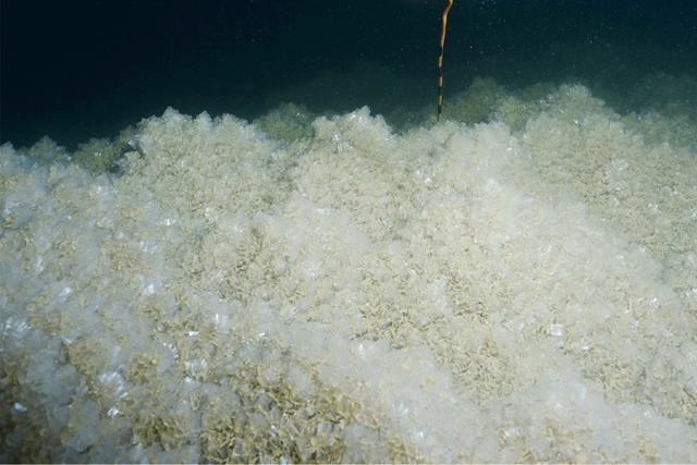 死海是湖还是海，死海是海吗（陆地海拔最低的“死海”正在变得更低更咸）